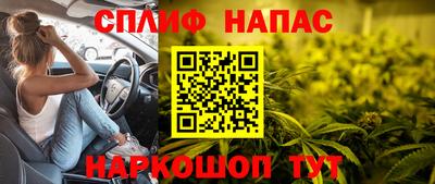 спиды Будённовск