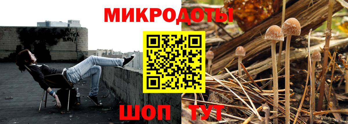 Галлюциногенные грибы мухоморы Копейск