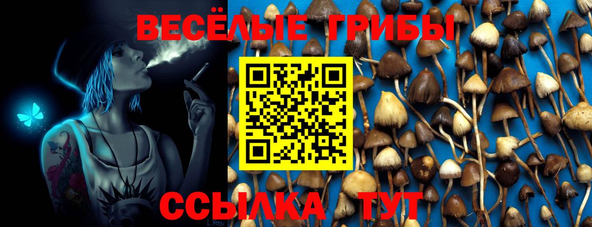 где купить наркоту  Вход с VPN  Копейск  Галлюциногенные грибы Psilocybine cubensis  Галлюциногенные грибы мицелий 